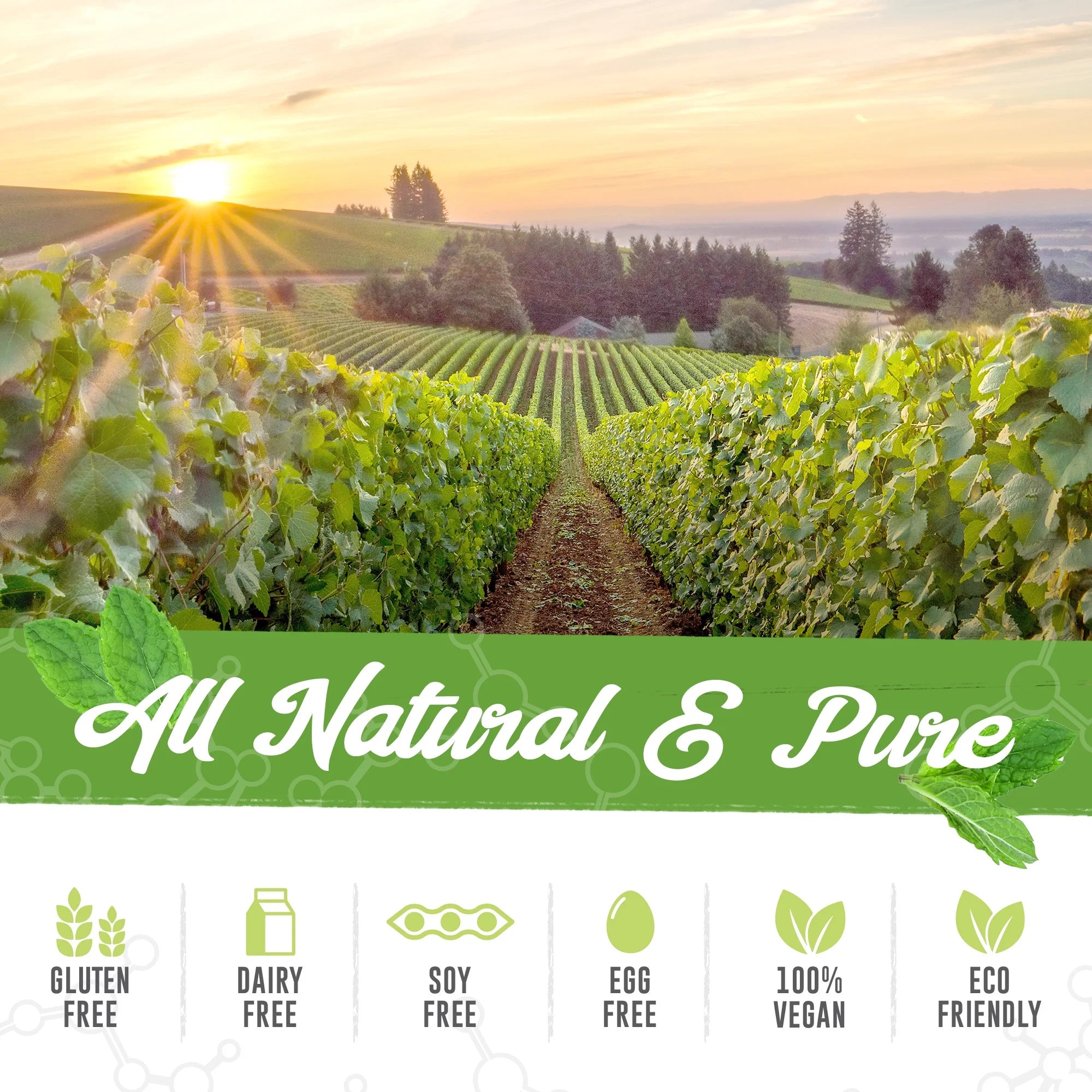 Coq10 200Mg, Extra Fuerza - Apoya La Salud Del Corazón, La Salud Cardiovascular Y La Salud Digestiva - Suplemento Natural Soluble En Grasa - Coenzima Q-10 (Ubiquinona)